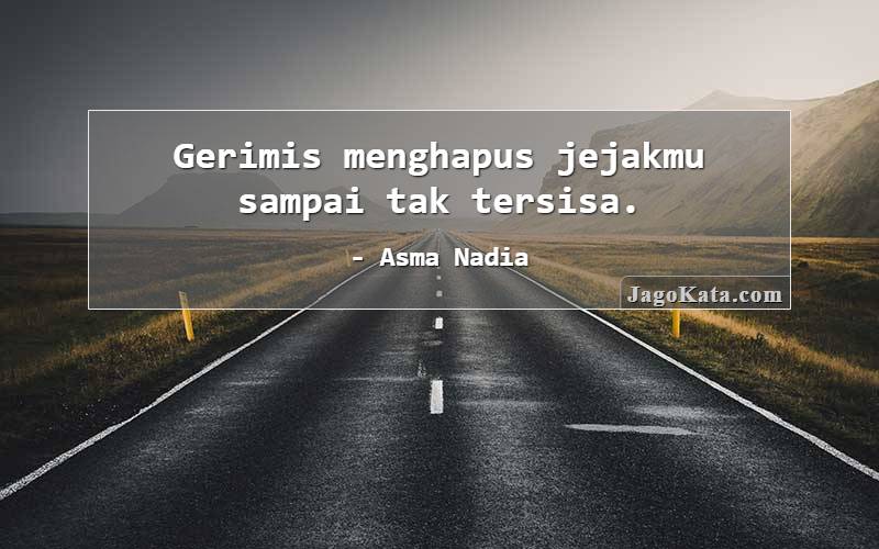 Gerimis menghapus jejakmu sampai tak tersisa.