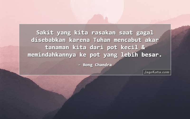Sakit yang kita rasakan saat gagal disebabkan karena Tuhan mencabut akar tanaman kita dari pot kecil & memindahkannya ke pot yang lebih besar.