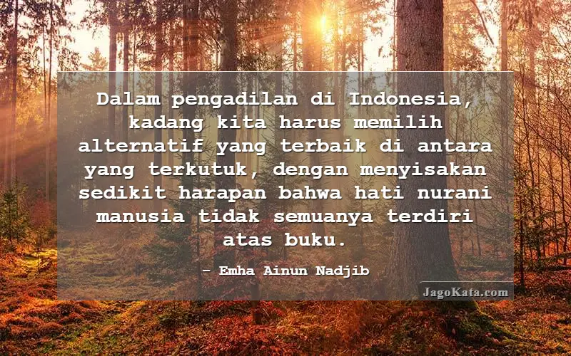 Dalam pengadilan di Indonesia, kadang kita harus memilih alternatif yang terbaik di antara yang terkutuk, dengan menyisakan sedikit harapan bahwa hati nurani manusia tidak semuanya terdiri atas buku.