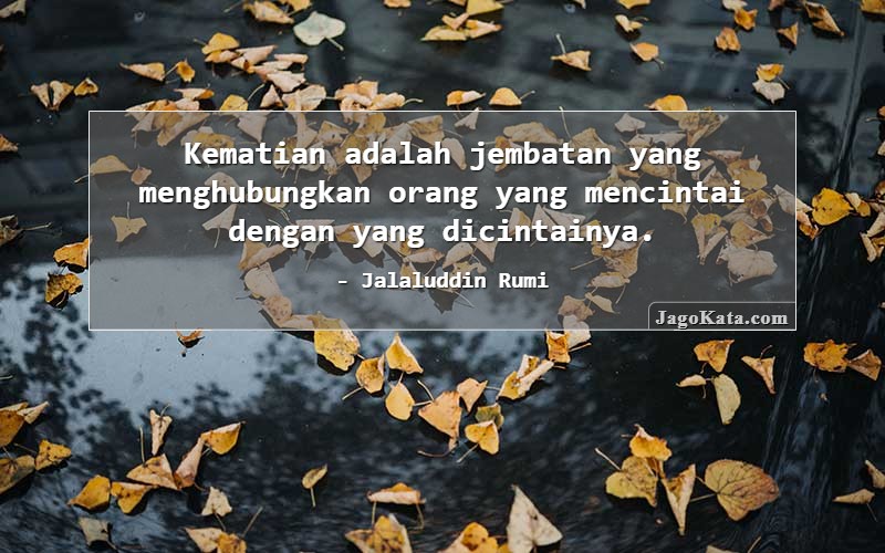 137 Kata Kata Jalaluddin Rumi Jagokata