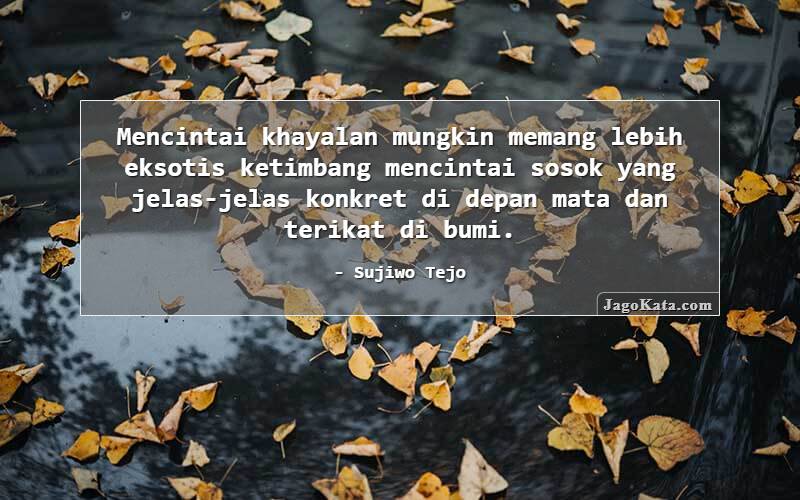 Mencintai khayalan mungkin memang lebih eksotis ketimbang mencintai sosok yang jelas-jelas konkret di depan mata dan terikat di bumi.