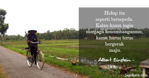 Albert Einstein - Hidup itu seperti bersepeda. Kalau kamu ingin menjaga keseimbanganmu, kamu harus terus bergerak maju.