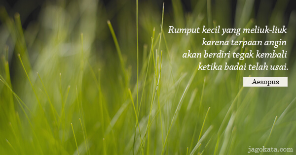 Aesop - Rumput kecil yang meliuk-liuk karena terpaan angin akan berdiri tegak kembali ketika badai telah usai.