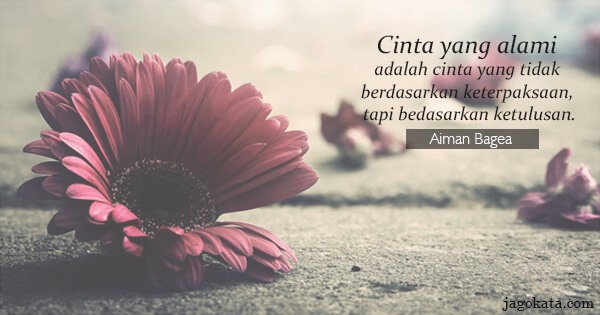 Aiman Bagea - Cinta yang alami adalah cinta yang tidak berdasarkan keterpaksaan, tapi bedasarkan ketulusan.