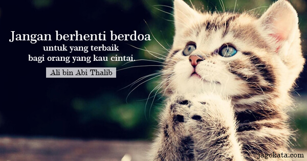 Ali bin Abi Thalib - Jangan berhenti berdoa untuk yang terbaik bagi orang yang kau cintai.