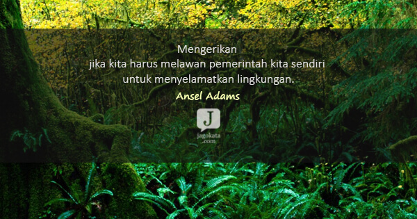 Ansel Adams - Mengerikan jika kita harus melawan pemerintah kita sendiri untuk menyelamatkan lingkungan.
