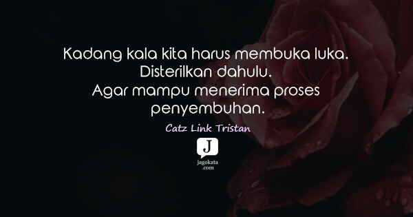 Catz Link Tristan - Kadang kala kita harus membuka luka. Disterilkan dahulu. Agar mampu menerima proses penyembuhan.