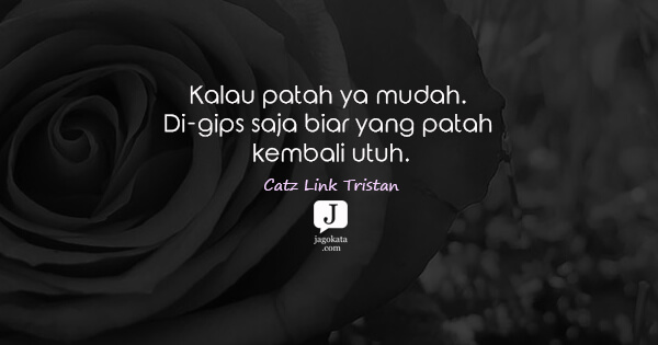 Catz Link Tristan - Kalau patah ya mudah. Di-gips saja biar yang patah kembali utuh.