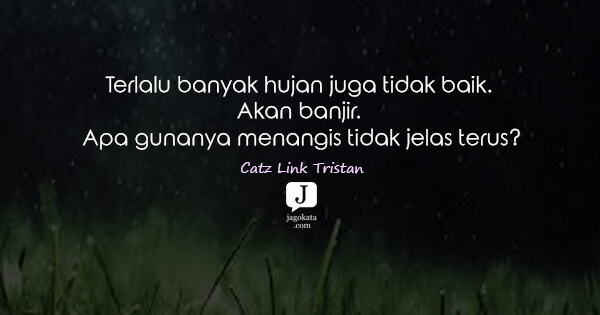 Catz Link Tristan - Terlalu banyak hujan juga tidak baik. Akan banjir. Apa gunanya menangis tidak jelas terus?