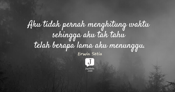 Erwin Setia - Aku tidak pernah menghitung waktu sehingga aku tak tahu telah berapa lama aku menunggu.