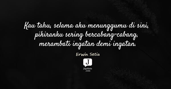 Erwin Setia - Kau tahu, selama aku menunggumu di sini, pikiranku sering bercabang-cabang, merambati ingatan demi ingatan.