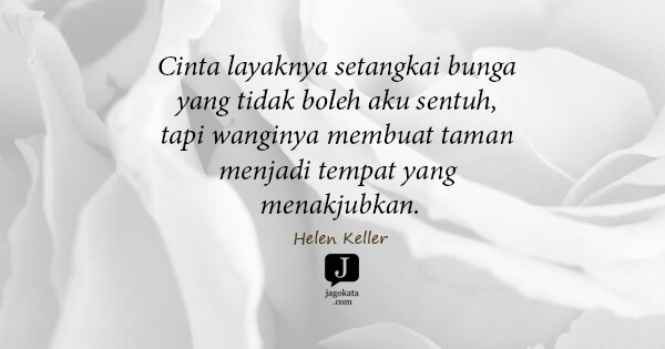 Helen Keller - Cinta layaknya setangkai bunga yang tidak boleh aku sentuh, tapi wanginya membuat taman menjadi tempat yang menakjubkan.