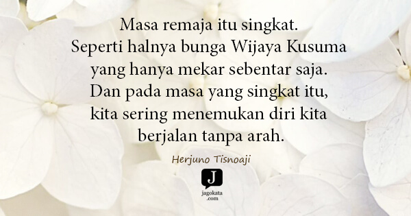 Herjuno Tisnoaji - Masa remaja itu singkat. Seperti halnya bunga Wijaya Kusuma yang hanya mekar sebentar saja. Dan pada masa yang singkat itu, kita sering menemukan diri kita berjalan tanpa arah.