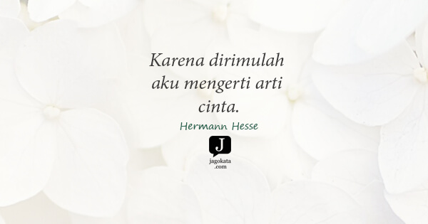 Hermann Hesse - Karena dirimulah aku mengerti arti cinta.