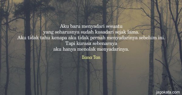 Ilana Tan - Aku baru menyadari sesuatu yang seharusnya sudah kusadari sejak lama. Aku tidak tahu kenapa aku tidak pernah menyadarinya sebelum ini. Tapi kurasa sebenarnya aku hanya menolak menyadarinya.