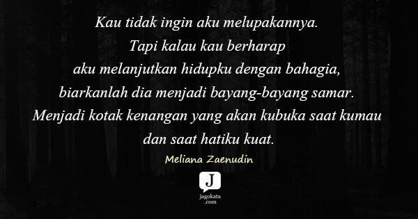 Meliana Zaenudin - Kau tidak ingin aku melupakannya. Tapi kalau kau berharap aku melanjutkan hidupku dengan bahagia, biarkanlah dia menjadi bayang-bayang samar. Menjadi kotak kenangan yang akan kubuka saat kumau dan saat hatiku kuat.