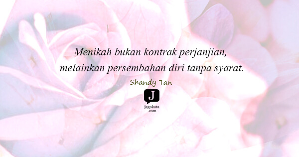 Shandy Tan - Menikah bukan kontrak perjanjian, melainkan persembahan diri tanpa syarat.
