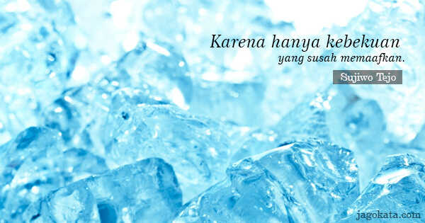 Sujiwo Tejo - Karena hanya kebekuan yang susah memaafkan.