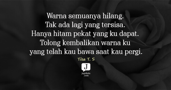 Tisa T. S - Warna semuanya hilang. Tak ada lagi yang tersisa. Hanya hitam pekat yang ku dapat. Tolong kembalikan warna ku yang telah kau bawa saat kau pergi.