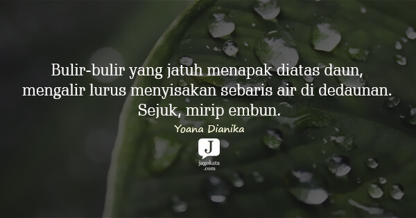 Yoana Dianika - Bulir-bulir yang jatuh menapak diatas daun, mengalir lurus menyisakan sebaris air di dedaunan. Sejuk, mirip embun.